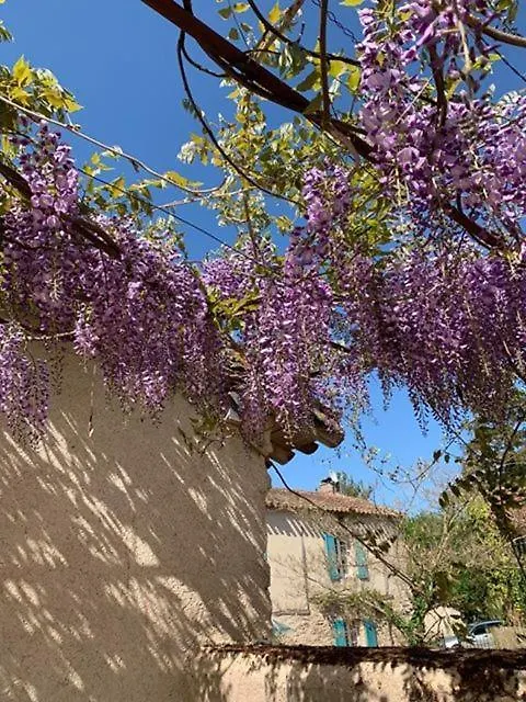 住宿加早餐酒店 Sainte-Gemme Domaine Du Conte Bleu住宿加早餐旅馆 法国